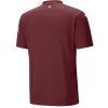 Herren Manchester City 2024-25 Drittes Trikot Kurzarm Personalisierbar